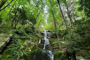 Buttermilk Falls image