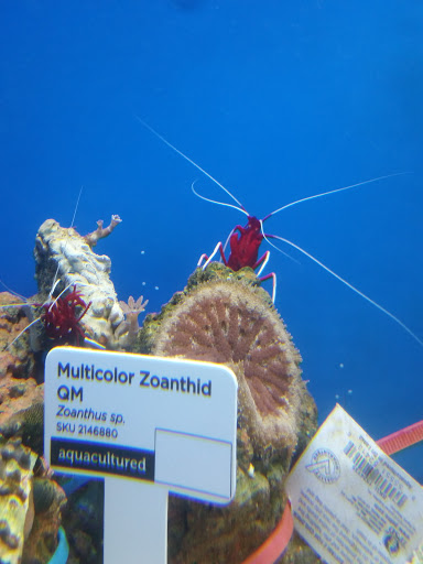 Pet Supply Store «Petco Animal Supplies», reviews and photos, 753 53rd Ave NE, Fridley, MN 55421, USA