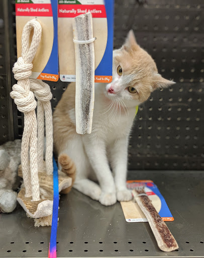 Pet Supply Store «Petco Animal Supplies», reviews and photos, 12444 NW 10th St #301, Yukon, OK 73099, USA