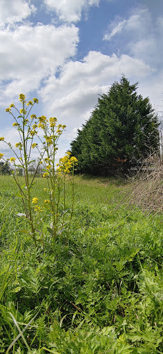 Private Golf Course «Chester Valley Golf Course», reviews and photos, 430 W Swedesford Rd, Malvern, PA 19355, USA