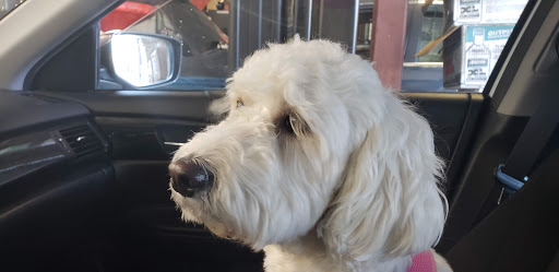 Auto Repair Shop «Hillbrook Automotive», reviews and photos, 6701 Little River Turnpike, Annandale, VA 22003, USA