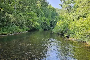 Laurel Hill Wildlife Management Area image