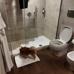 Photo n°4 de l'avis de Luciano.a fait le 07/01/2022 à 10:10 sur le  Calaponte Hotel à Polignano a Mare