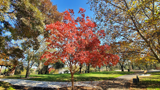 Park «Lew Howard Park», reviews and photos, 7001 Baldwin Dam Rd, Folsom, CA 95630, USA