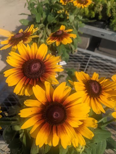 Home Improvement Store «The Home Depot», reviews and photos, 8901 Page Ave, Overland, MO 63114, USA