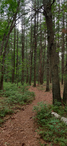 Country Club «The Cape Club of Sharon», reviews and photos, 25 Tiot St, Sharon, MA 02067, USA