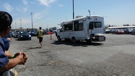 Car Dealer «IAA Vehicle Purchasing», reviews and photos