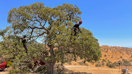 Art's Tree Service