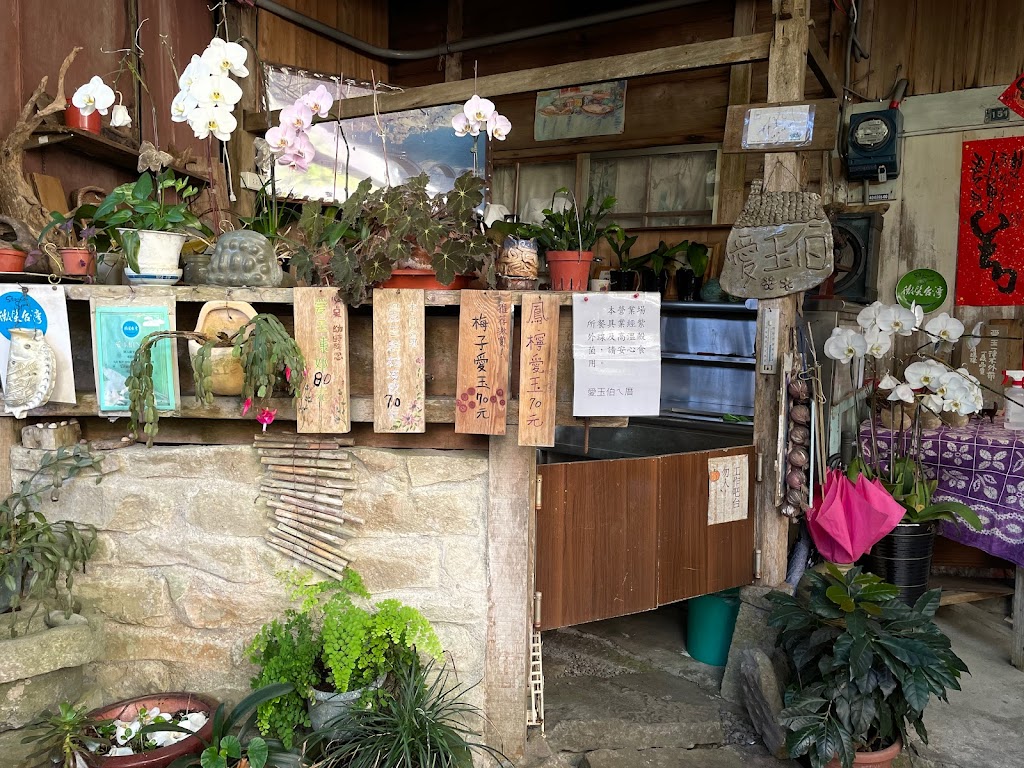 愛玉伯ㄟ厝 的照片