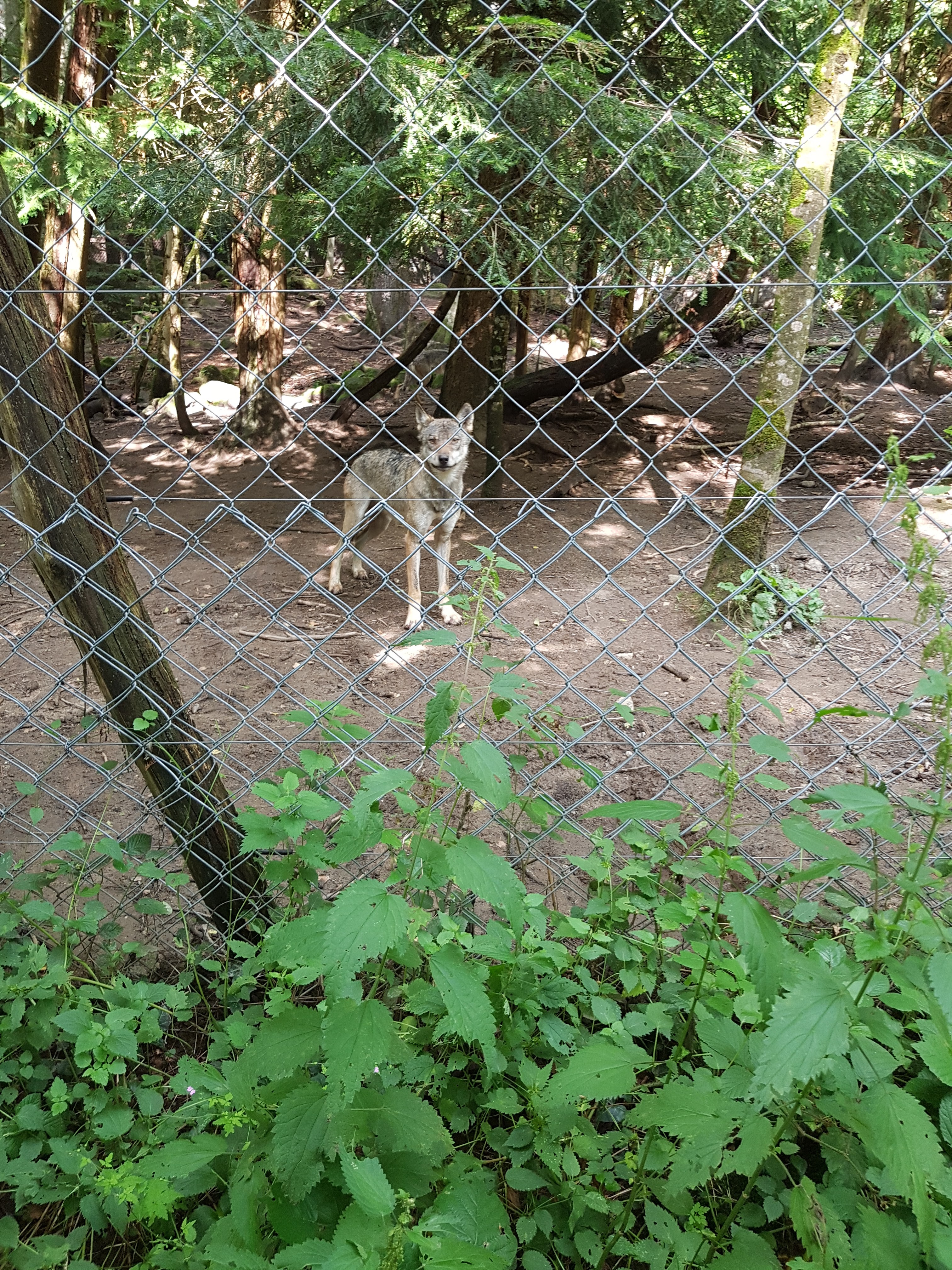 Photo n° 10 de l'avis de Eric.e fait le 12/08/2018 à 14:15