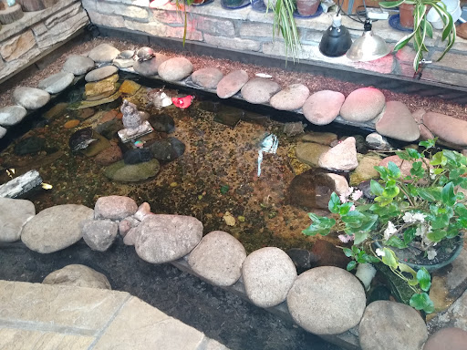 Museum «Pilcher Park Nature Center», reviews and photos, 2501 Highland Park Dr, Joliet, IL 60432, USA