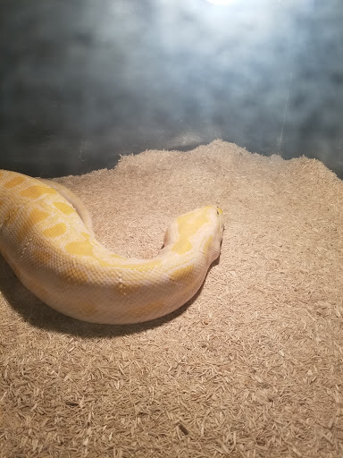 Pet Store «Miles of Exotics», reviews and photos, 8350 N Broadway, Kansas City, MO 64118, USA