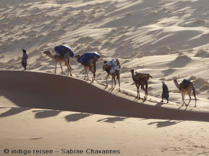 indigo reisen - Kameltrekkings in der Sahara