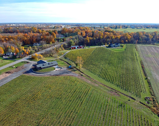 Winery «Arrowhead Spring Vineyards», reviews and photos, 4746 Town Line Rd, Lockport, NY 14094, USA