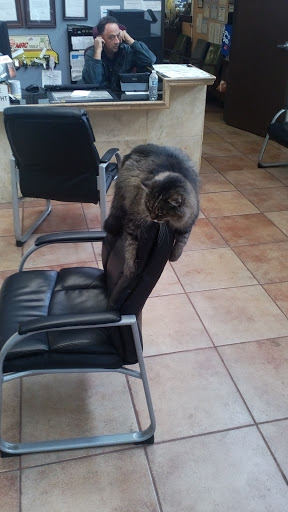 Auto Repair Shop «Villa Service Center», reviews and photos, 34 South St, San Luis Obispo, CA 93401, USA