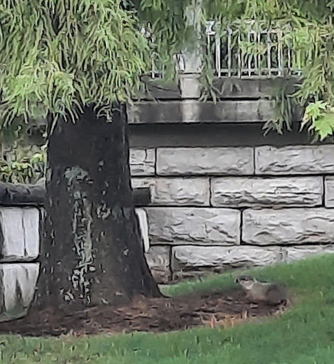 Park «Little River Park», reviews and photos, 701-799 Bethel St, Hopkinsville, KY 42240, USA