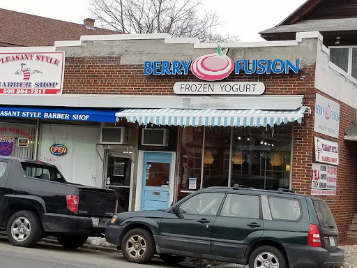 Berry Fusion Frozen Yogurt