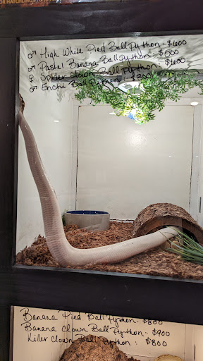 Pet Store «Miles of Exotics», reviews and photos, 8350 N Broadway, Kansas City, MO 64118, USA