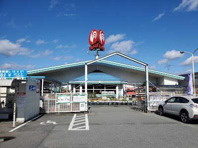 コメリハード＆グリーン宮宿店