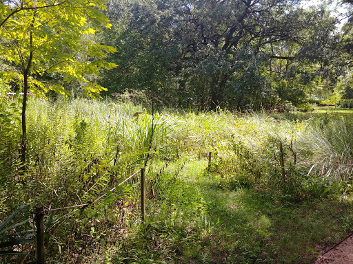 Non-Profit Organization «Nature Discovery Center», reviews and photos, 7112 Newcastle St, Bellaire, TX 77401, USA