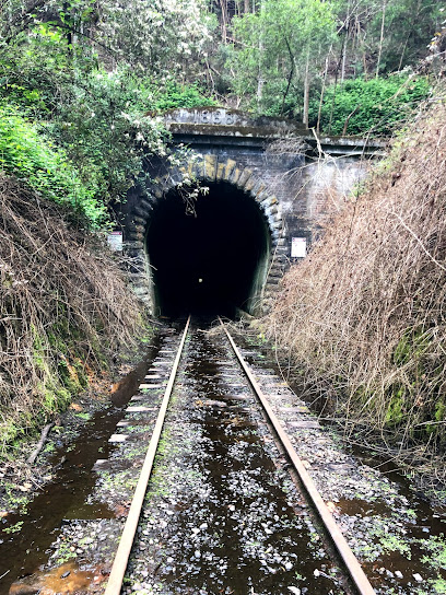 Abandoned Train Tunnel