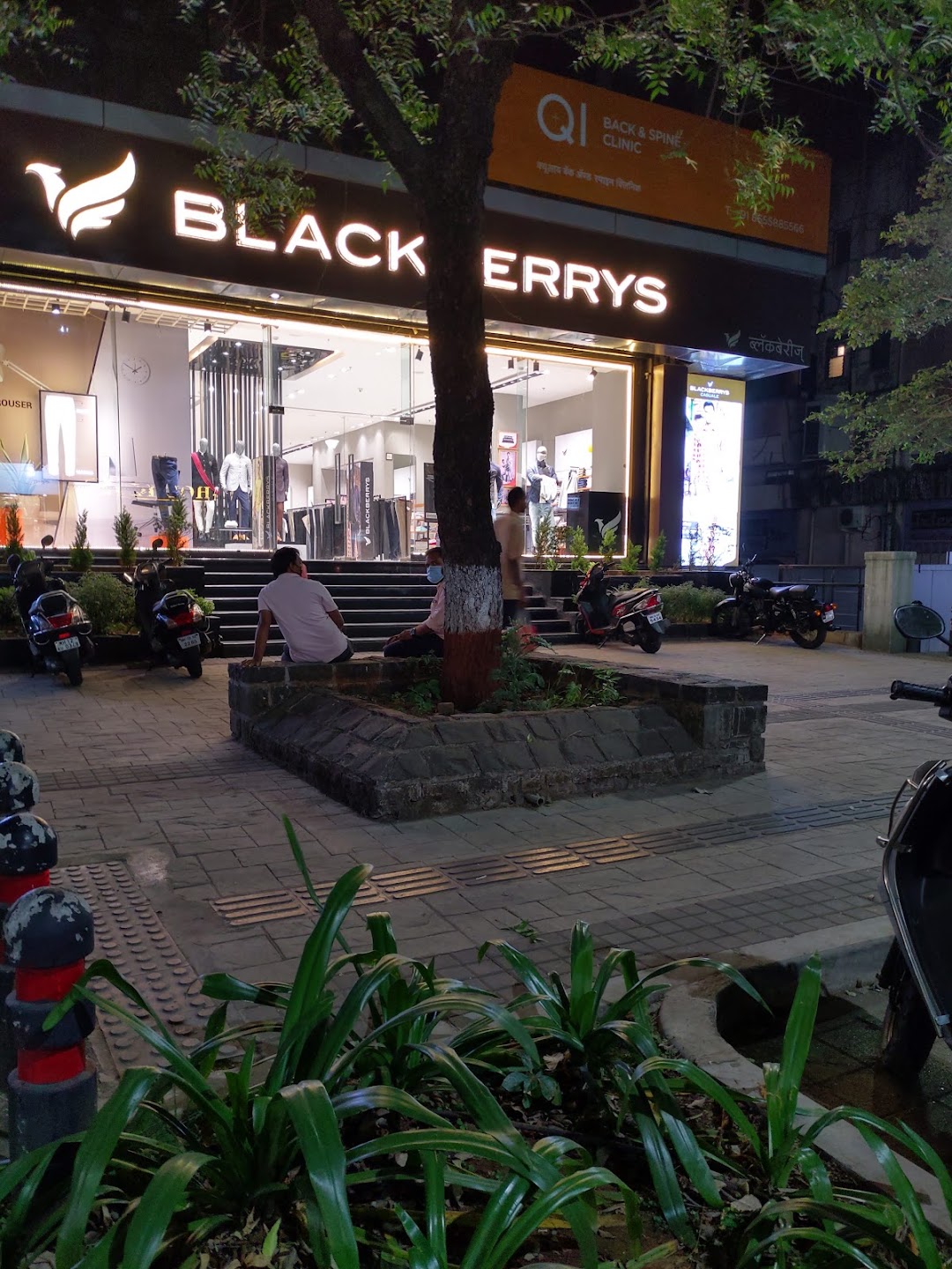 Blackberrys