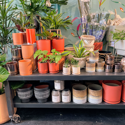 Florist «Green Fresh Florals», reviews and photos, 3785 Fourth Ave, San Diego, CA 92103, USA