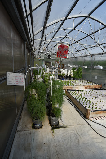 Grocery Store «Water Fresh Farm Marketplace», reviews and photos, 151 Hayden Rowe St, Hopkinton, MA 01748, USA