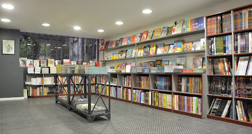 Librairie les Bulles de Vienne à Vienne