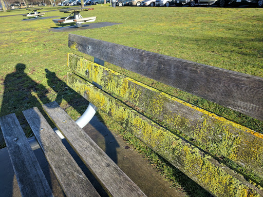 Park «Golden Gardens Park», reviews and photos, 8498 Seaview Pl NW, Seattle, WA 98117, USA