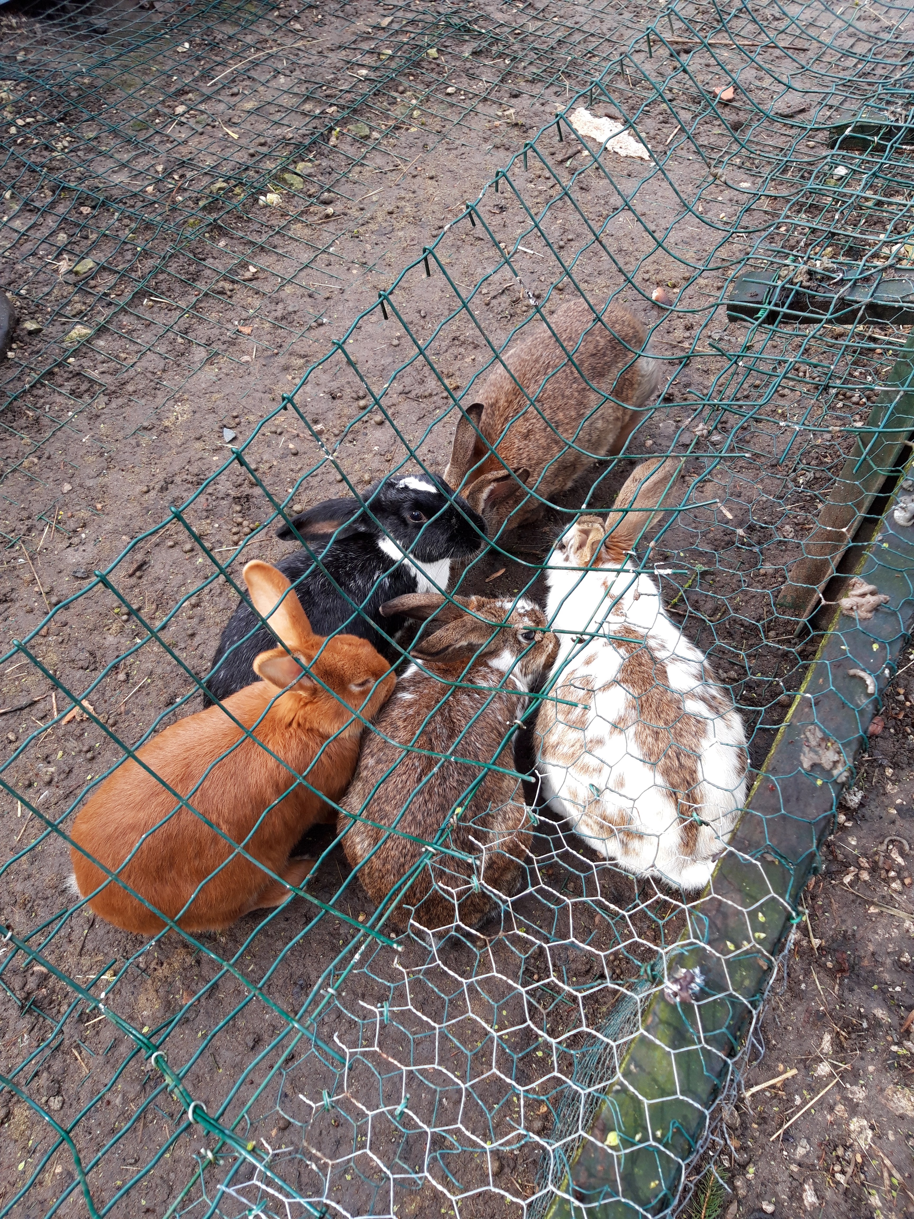 Photo n° 3 de l'avis de Marion.a fait le 27/03/2019 à 07:22