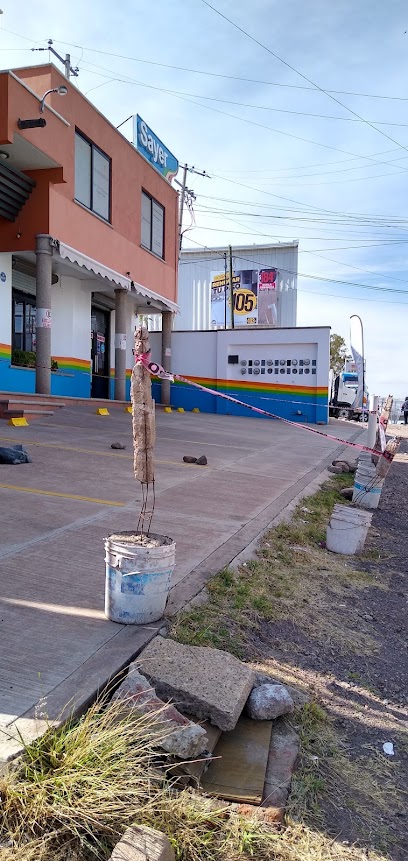 Sayer Guanajuato