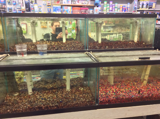 Pet Store «Oasis Tropicals», reviews and photos, 507 Commerce St, Pleasanton, TX 78064, USA