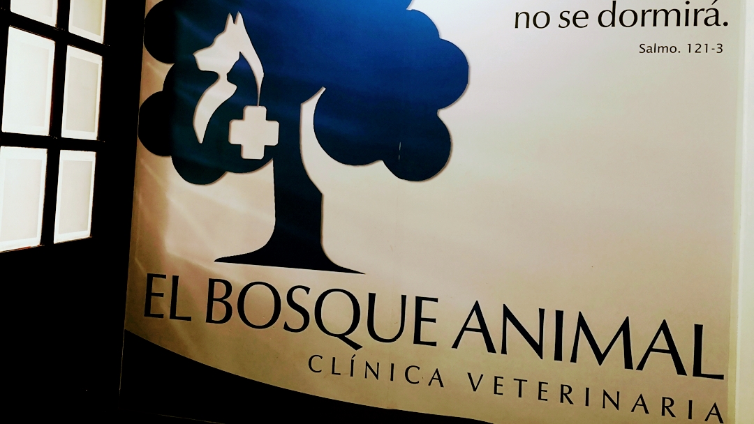 Clínica Veterinaria El Bosque Animal