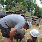 Photo n° 14 de l'avis de Nathalie.o fait le 10/09/2022 à 16:29 pour Ferme pédagogique 