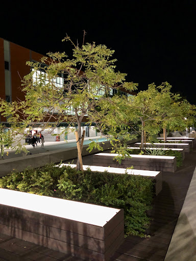 Community College «Palomar College», reviews and photos