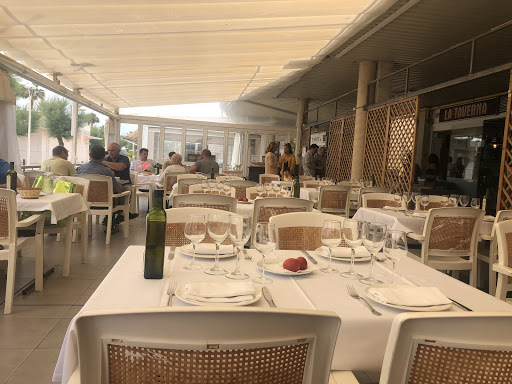 Información y opiniones sobre Restaurant Taverna del Port de Mataró