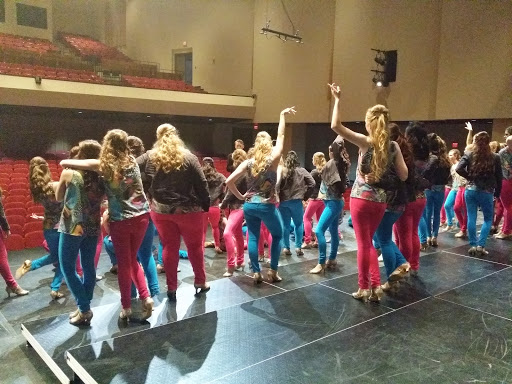 Performing Arts Theater «Lied Center for Performing Arts», reviews and photos, 301 N 12th St, Lincoln, NE 68508, USA