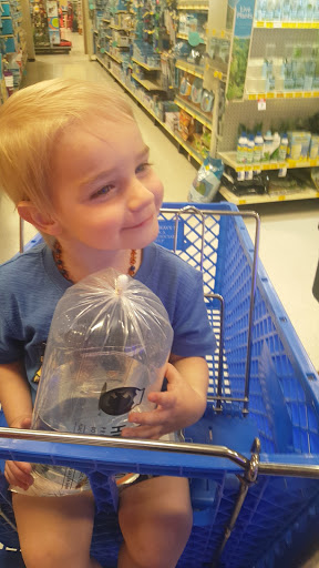 Pet Supply Store «PetSmart», reviews and photos, 4013 Wisconsin 28, Kohler, WI 53081, USA