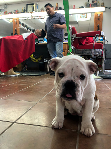 Barber Shop «El Travieso Barbershop», reviews and photos, 1305 Aldine Mail Rte Rd, Houston, TX 77039, USA