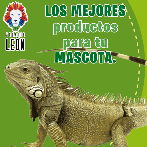 Acuario León