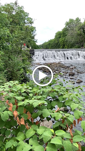 Park «River Park», reviews and photos, Boston Rd, Bronx, NY 10460, USA