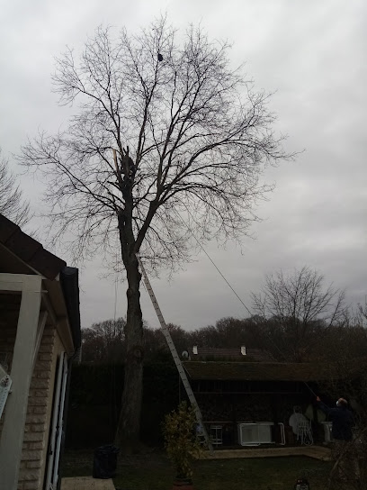 MULTISERVICES ORTICA: Élagueur Abattage d'arbres Taille de haies Entretien espaces verts élagage 77 Seine-et-Marne Nangis