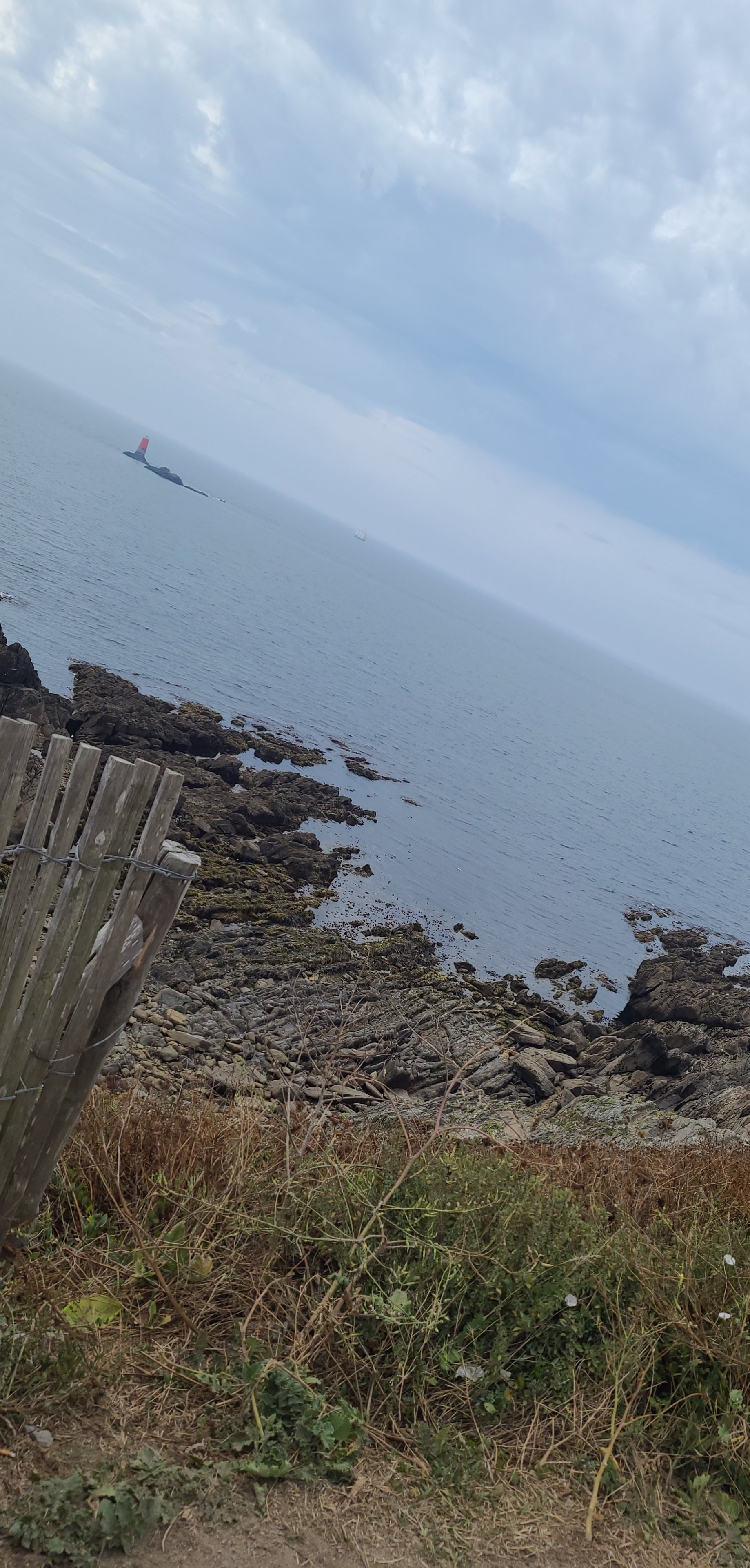 Photo n° 9 de l'avis de Mathilde.a fait le 15/08/2022 à 15:22