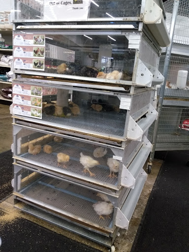 Animal Feed Store «IFA Country Stores», reviews and photos, 1071 Pioneer Rd, Draper, UT 84020, USA