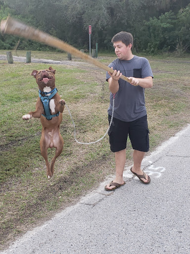 Park «Kwane Doster Community Center», reviews and photos, 7506 S Morton St, Tampa, FL 33616, USA