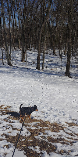 Park «Carney Park», reviews and photos, 386 W Main St, Northborough, MA 01532, USA