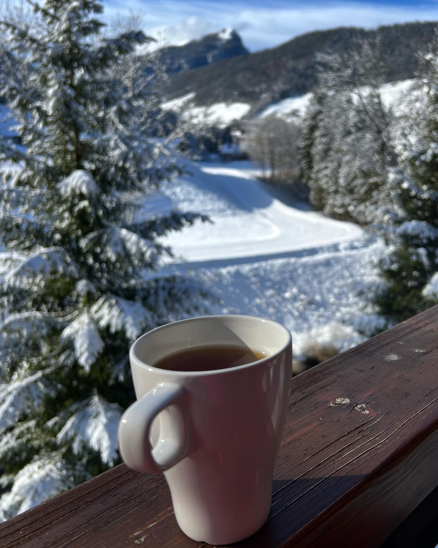 Photo n° 1 de l'avis de Novosib. fait le 15/01/2023 à 15:35