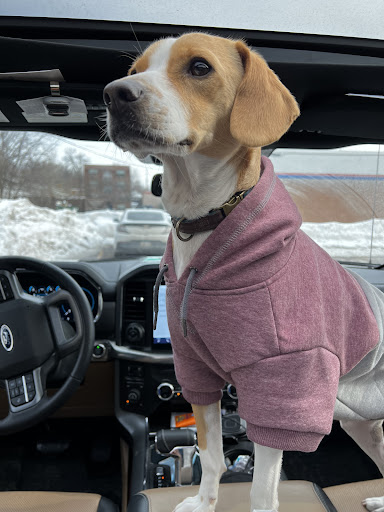 Pet Supply Store «Petco Animal Supplies», reviews and photos, 2277 Ford Pkwy, St Paul, MN 55116, USA