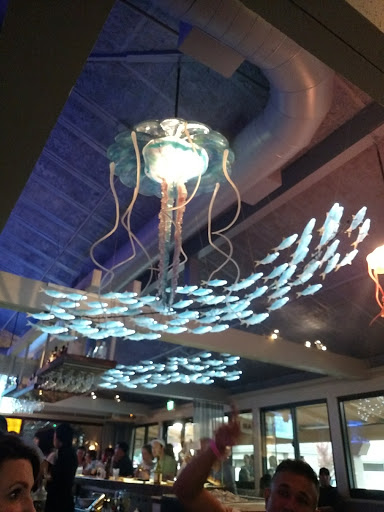 Shopping Mall «Montgomery Village Shopping Center», reviews and photos, 911 Village Ct, Santa Rosa, CA 95405, USA